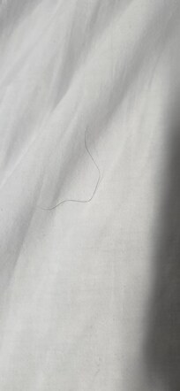 Hair on dirty sheets