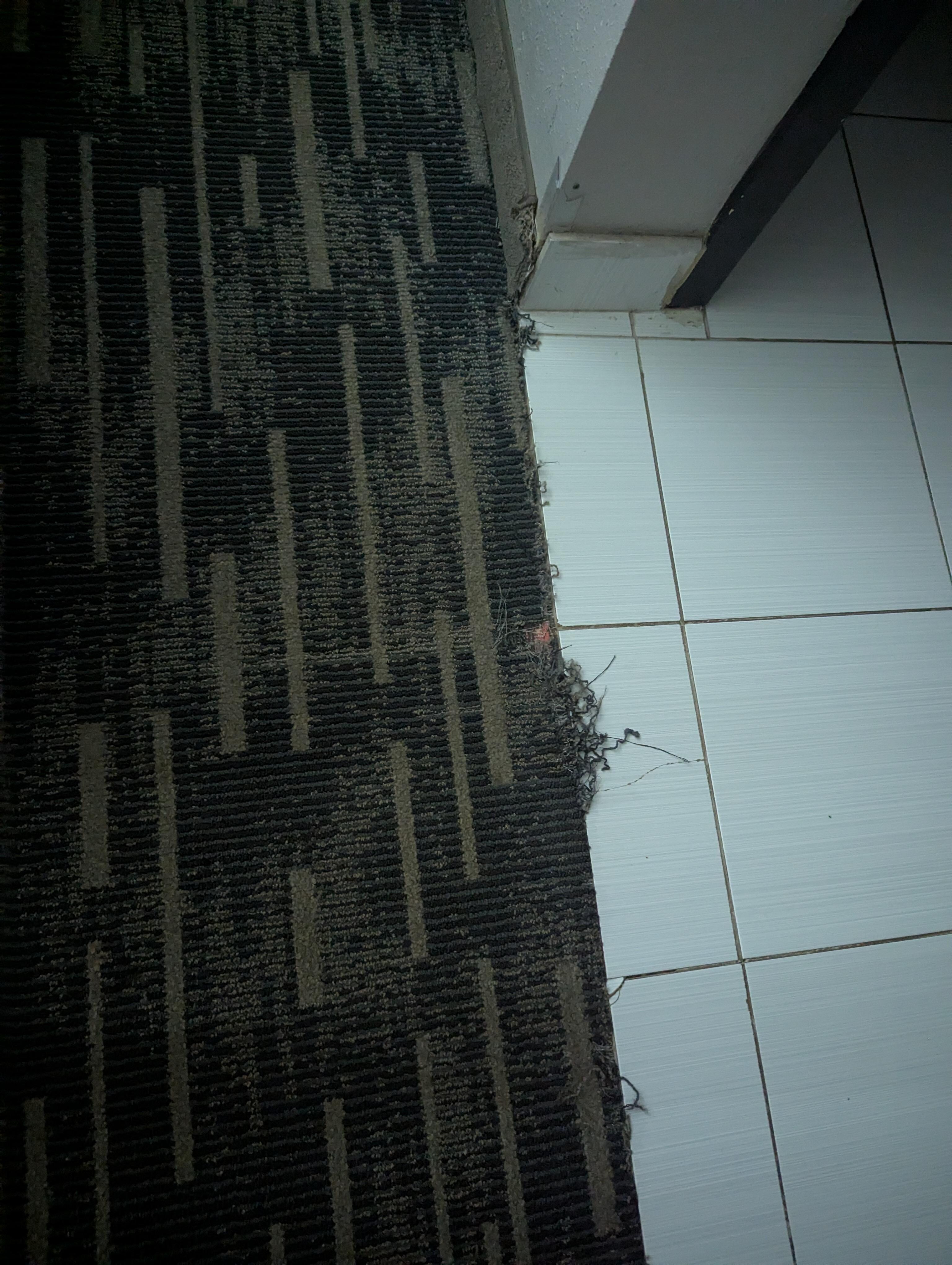 Carpet
