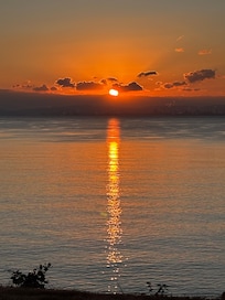 ๅๆฅใฎๅบ