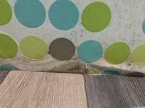 Mouldy bathroom