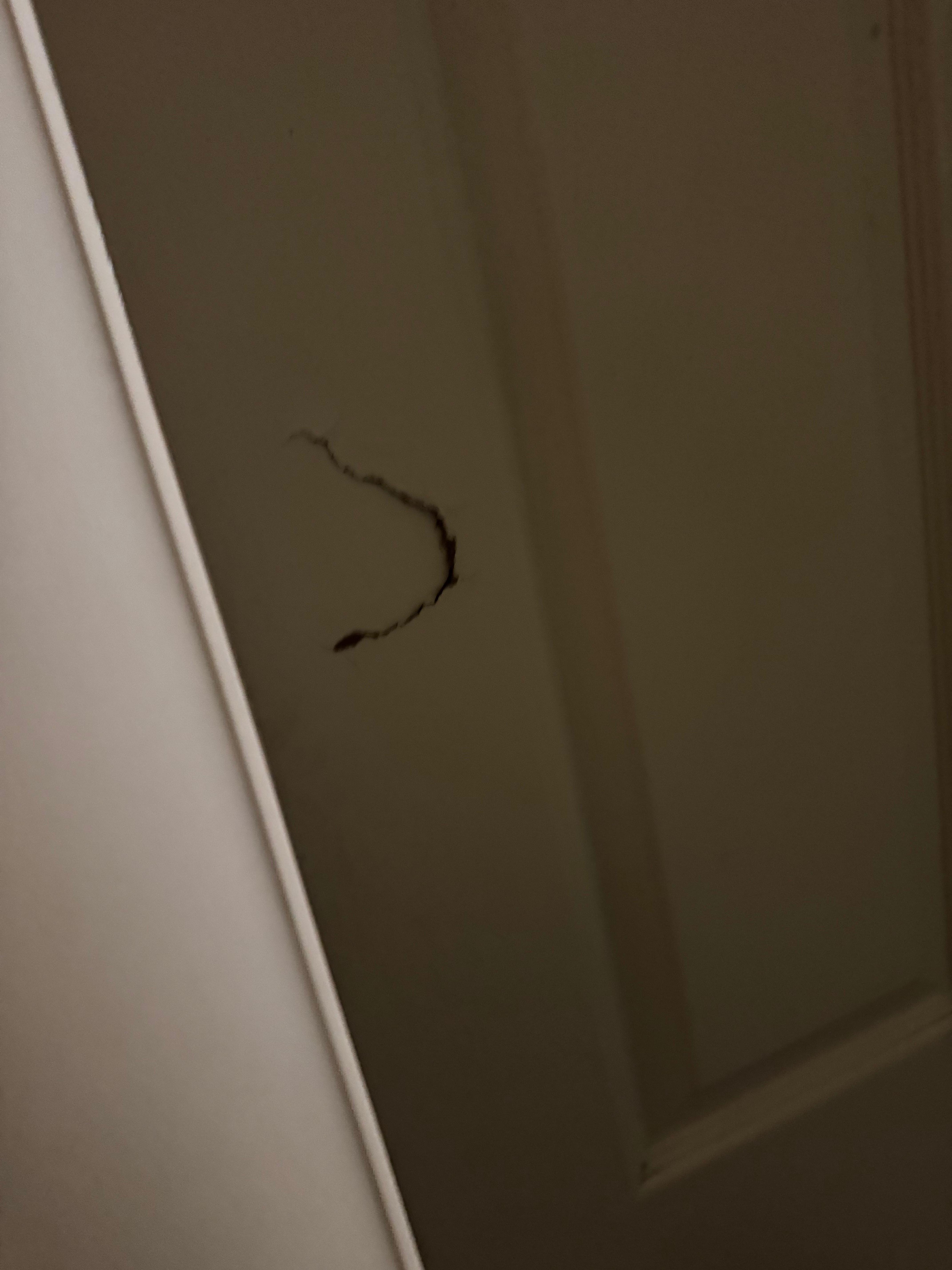 Busted bathroom door 