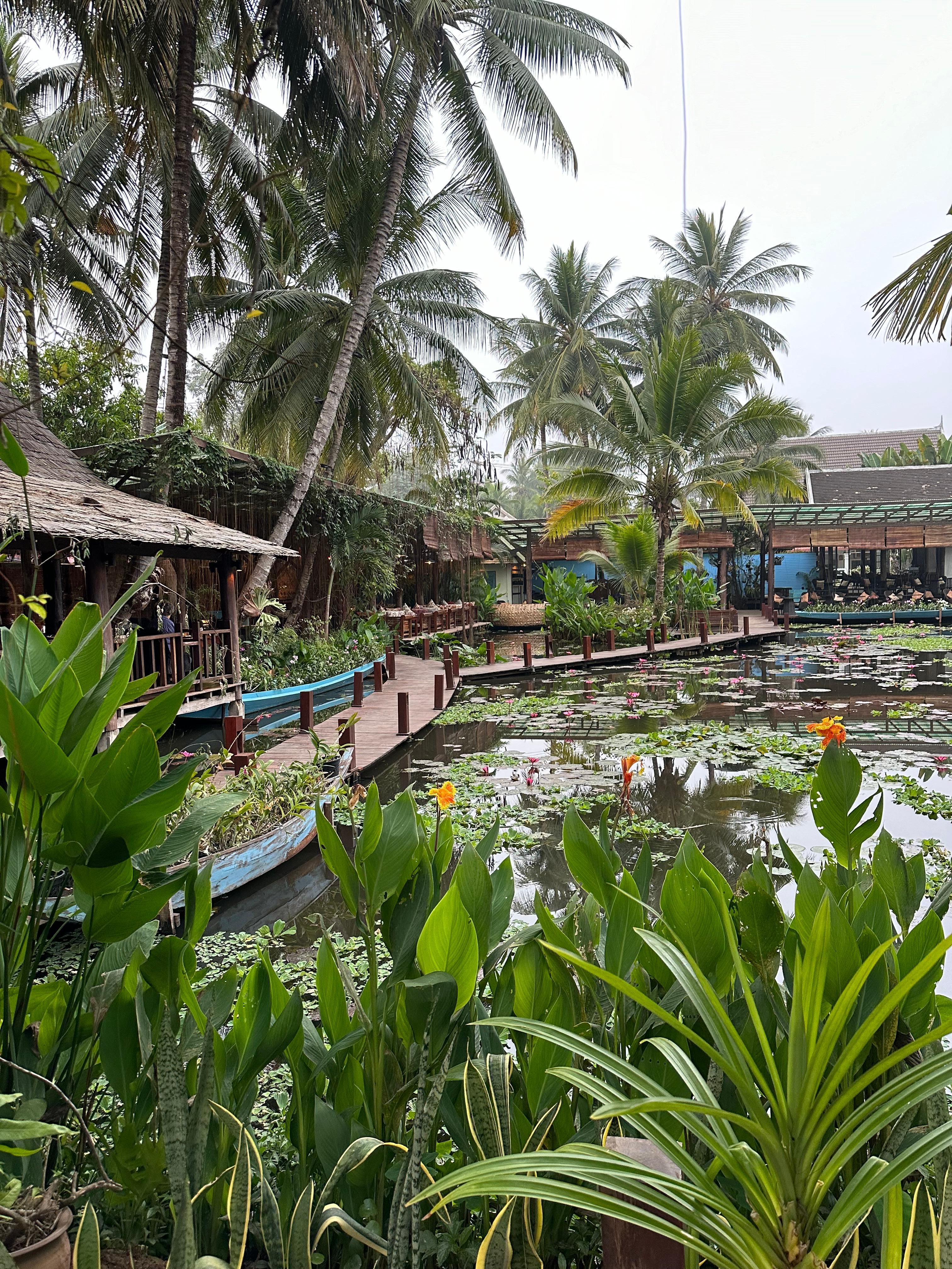 Restaurant area