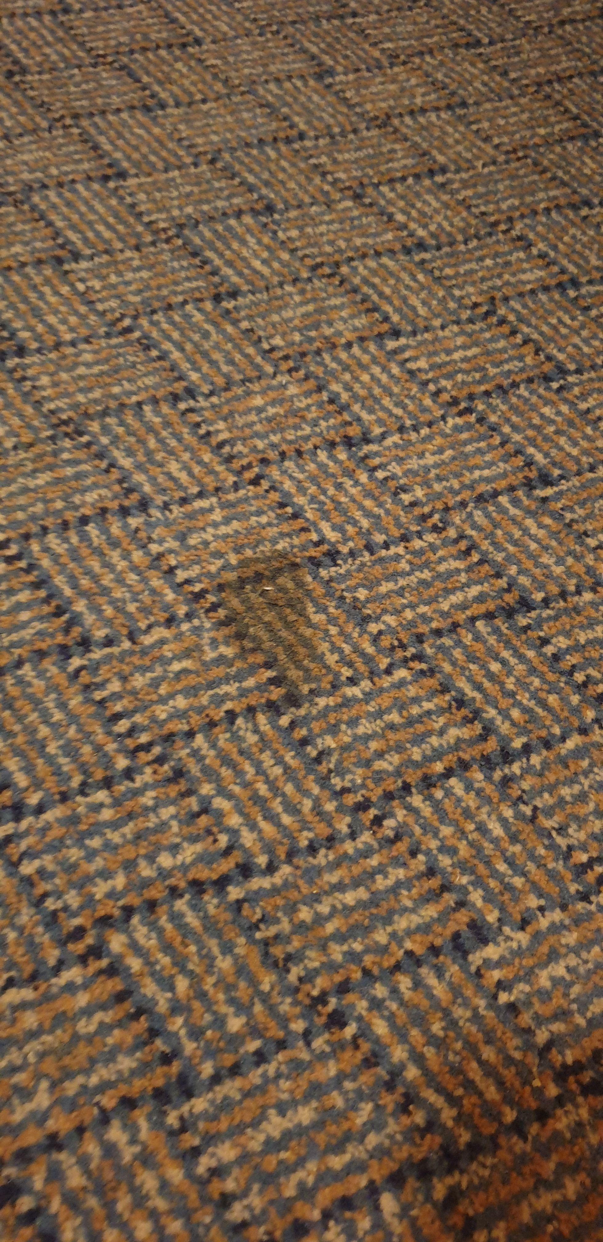 Carpet