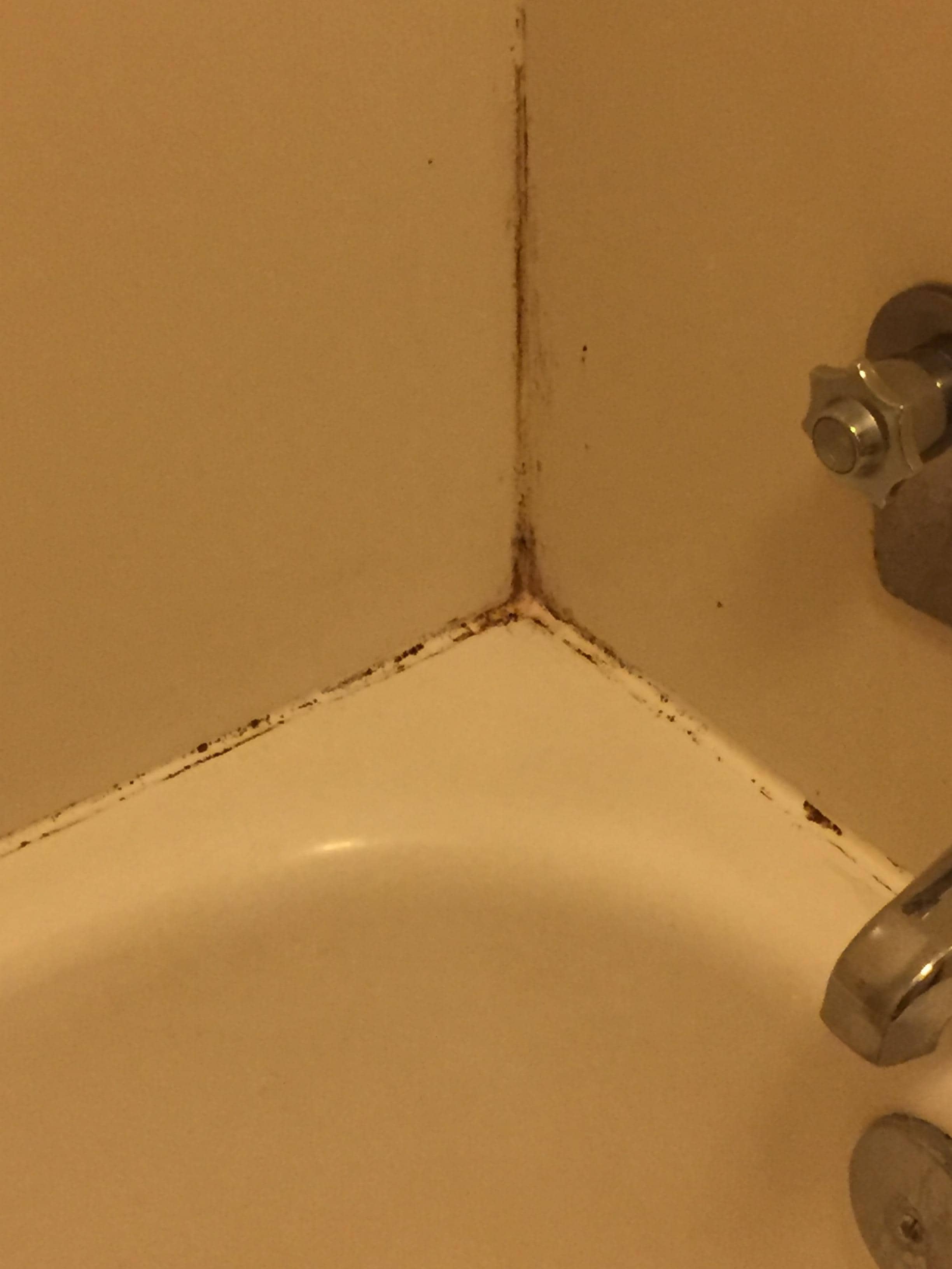 One of the nasty corners of the tub