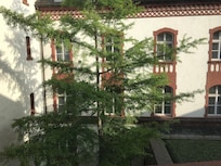 Tuinzicht