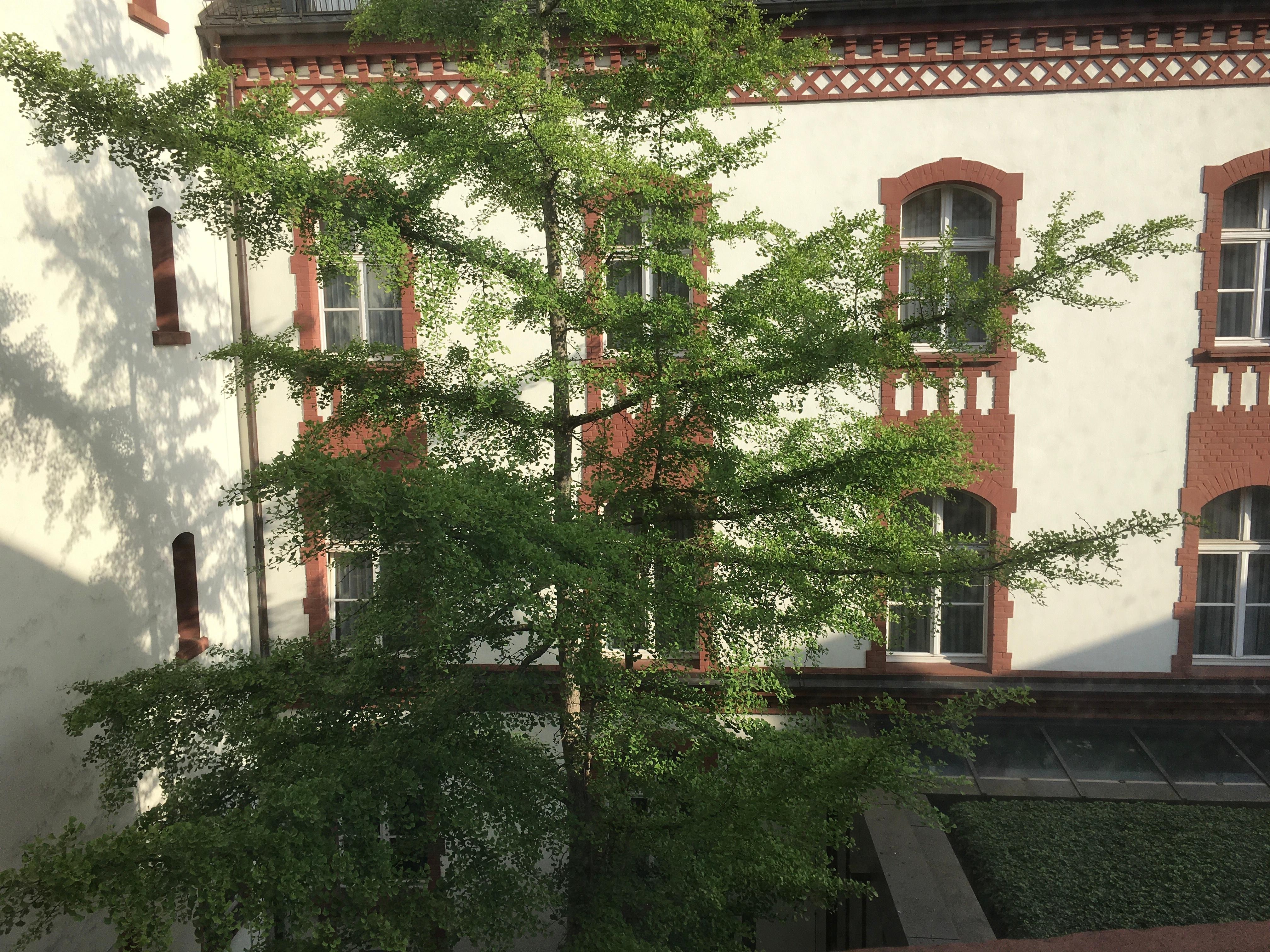 Tuinzicht