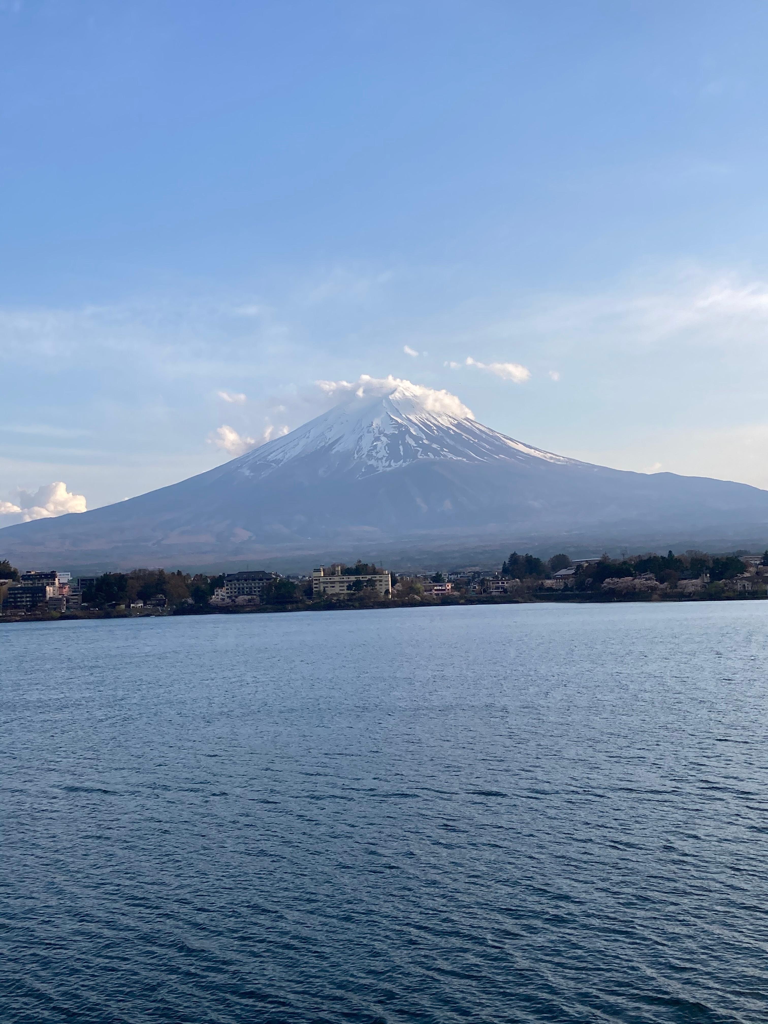 部屋からの眺め