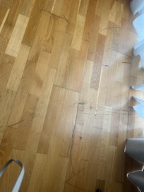 Condition of the floor in what is described by hotels.com as a 5 star resort.