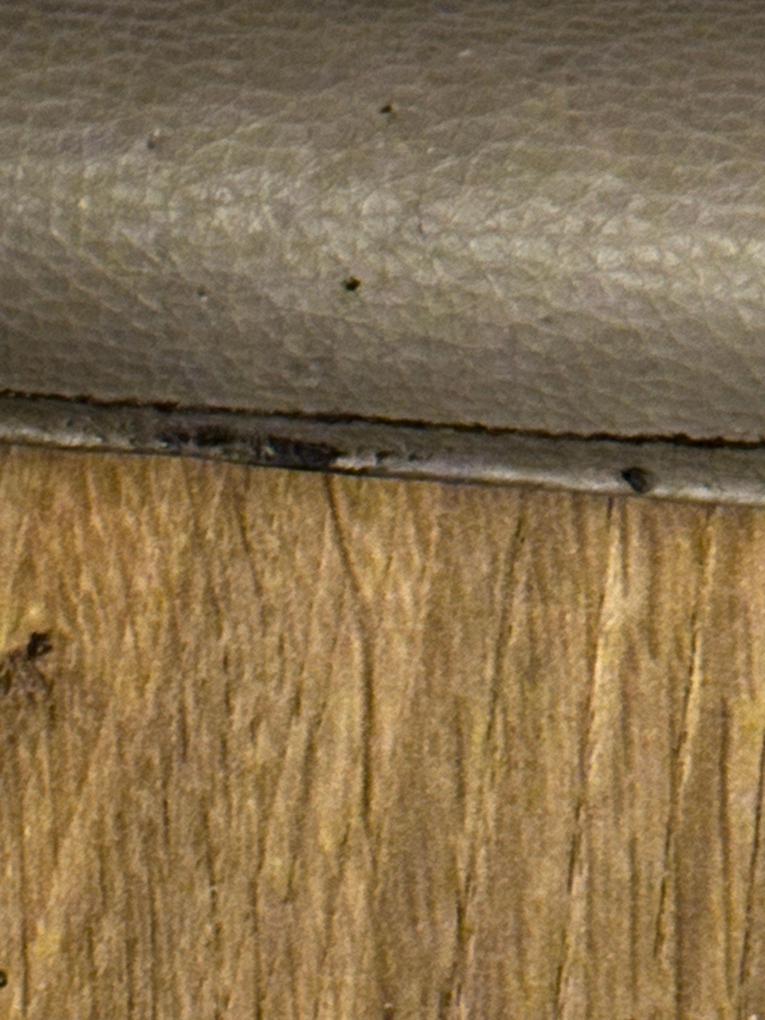 Dirt around bed