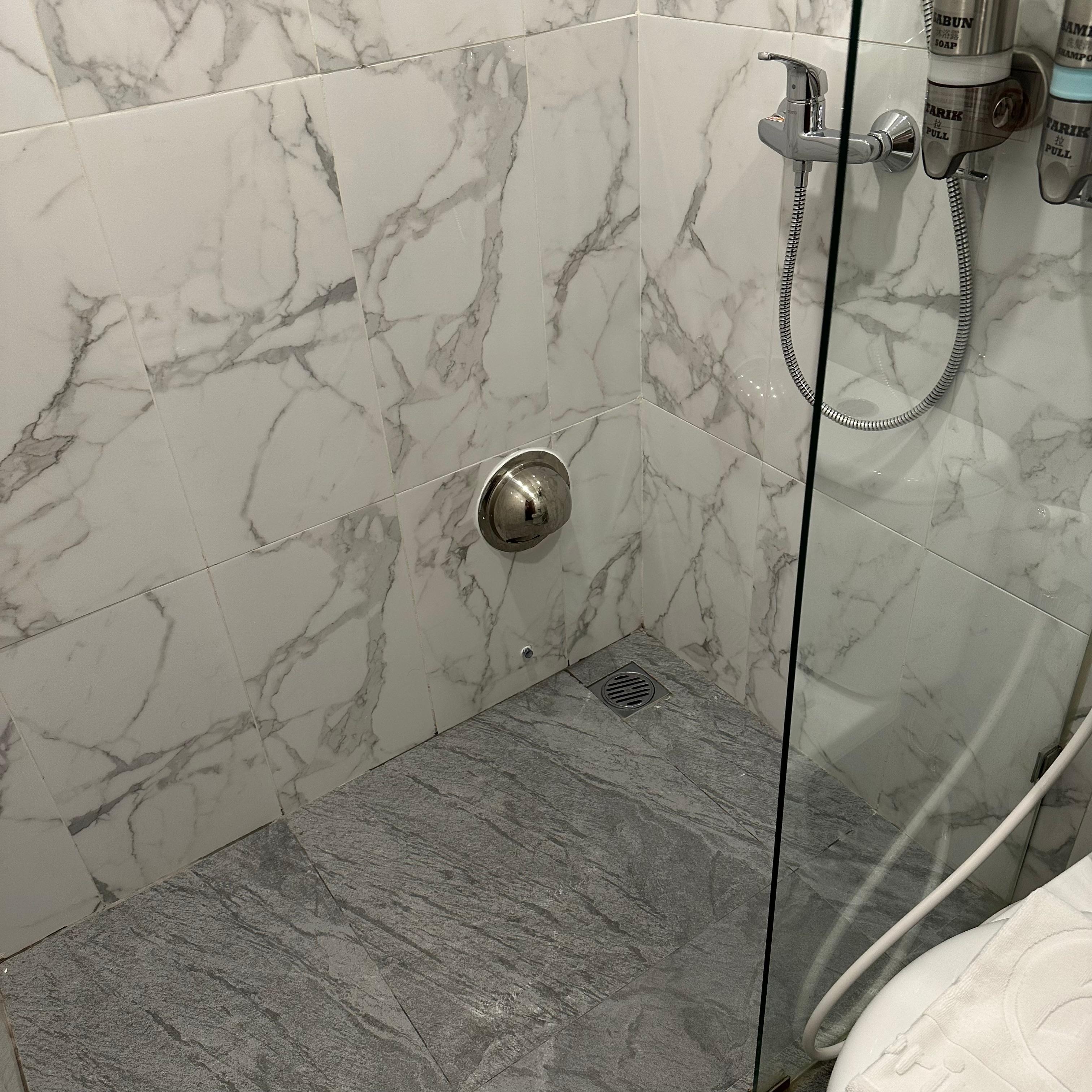 シャワールーム・トイレに「そのまま」出ている部屋がありました