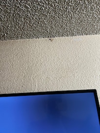 Looks like bug stain