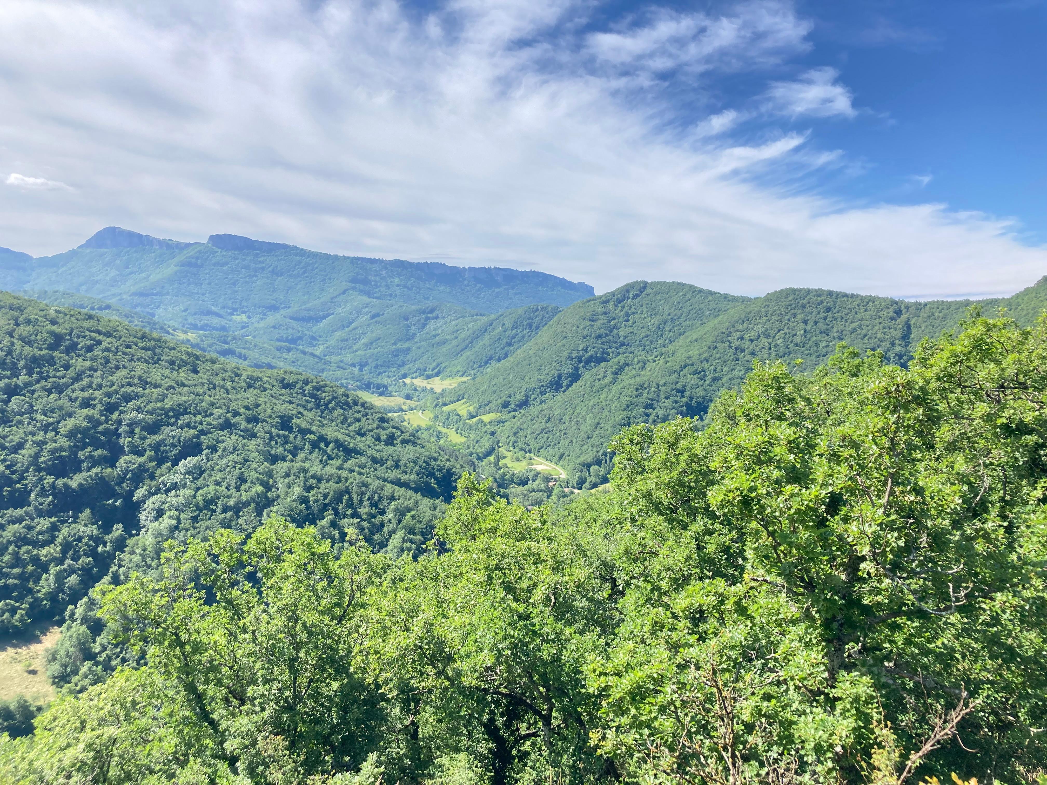 View from the Castle 