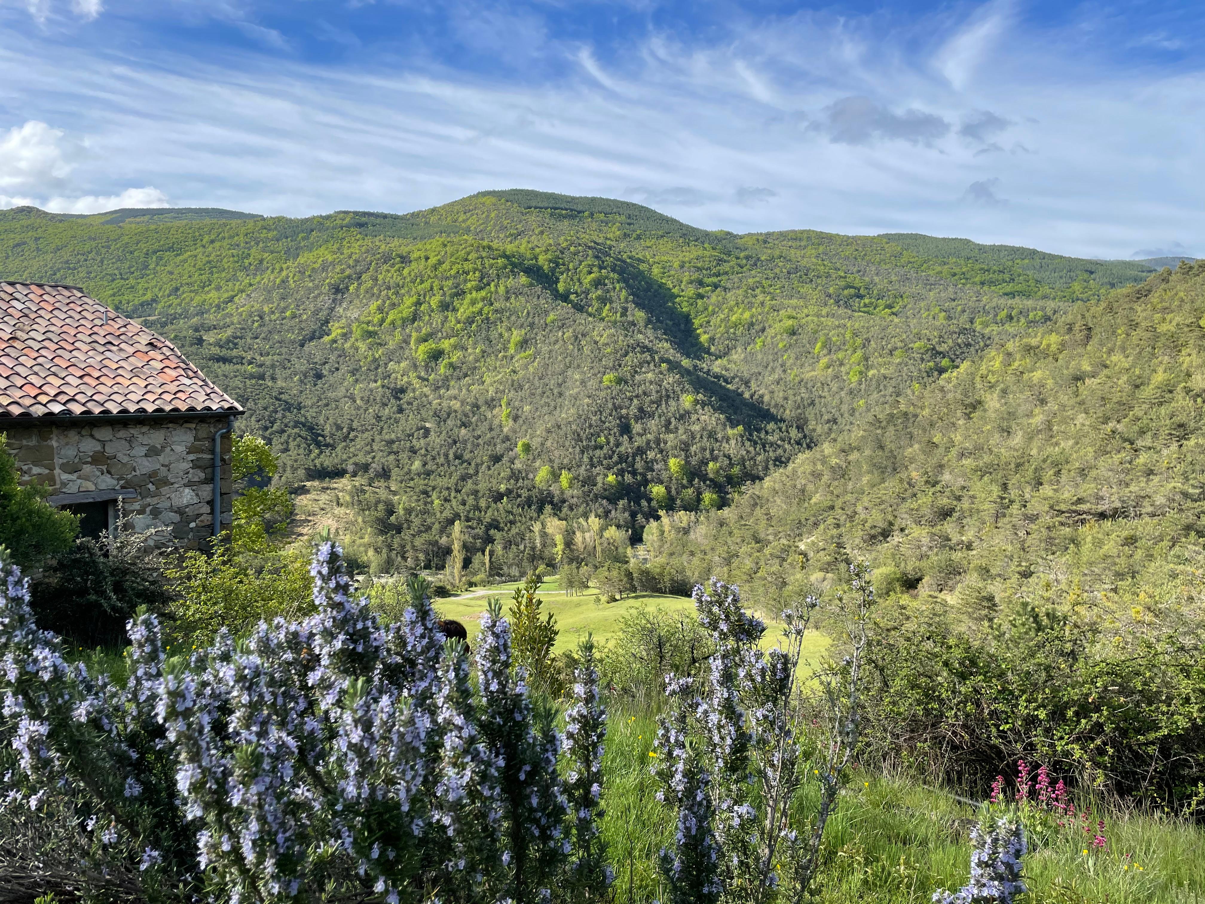 La vue au reveil