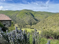 La vue au reveil