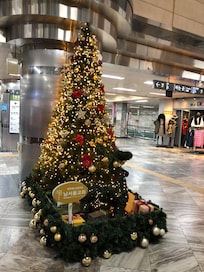 Beau sapin dans le hall dâentrĂ©e de lâhĂŽtel