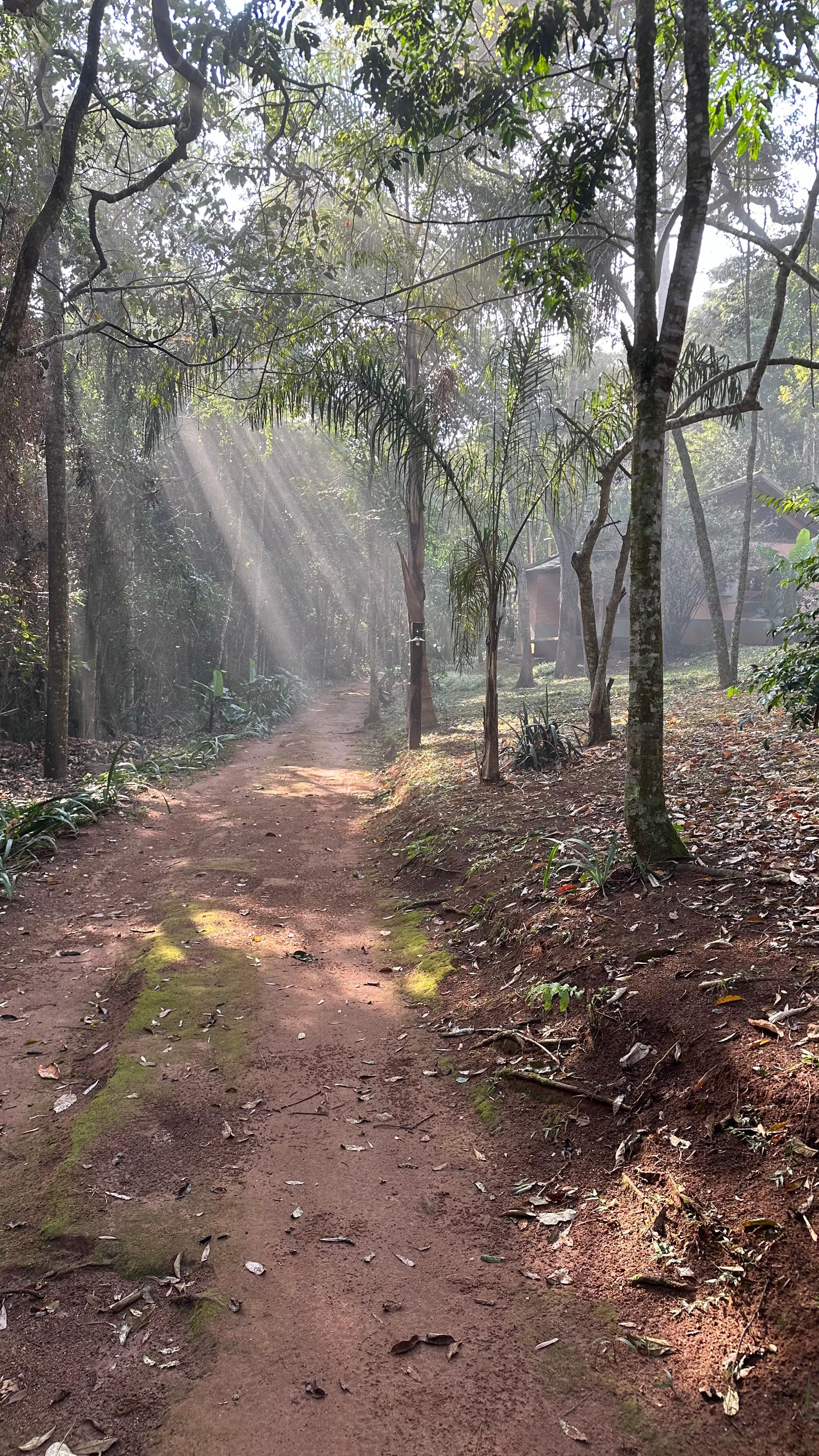 Os raios de sol da manhã no caminho até o restaurante 