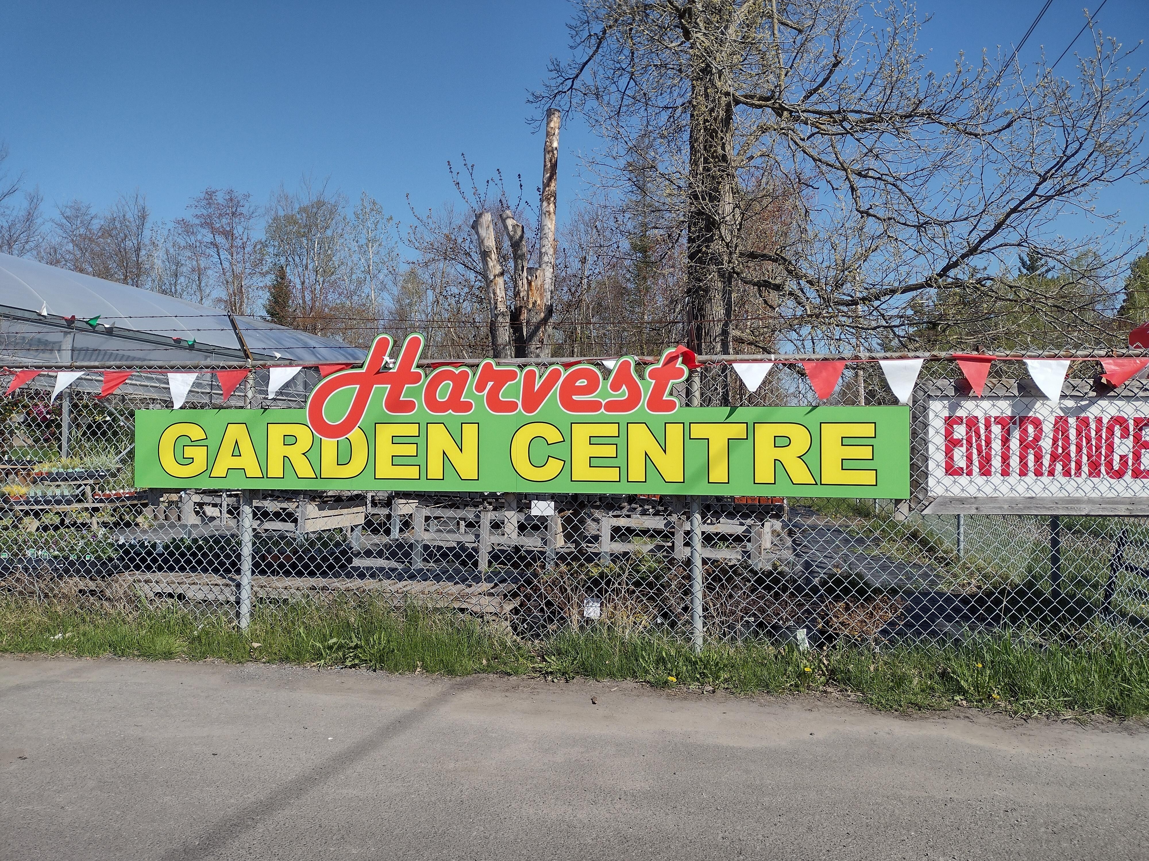 I even got to visit a local nursery to get my plant babies for the year! Right down the street!