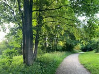 En kort afstand fra Kongevejen var der en idyllisk park