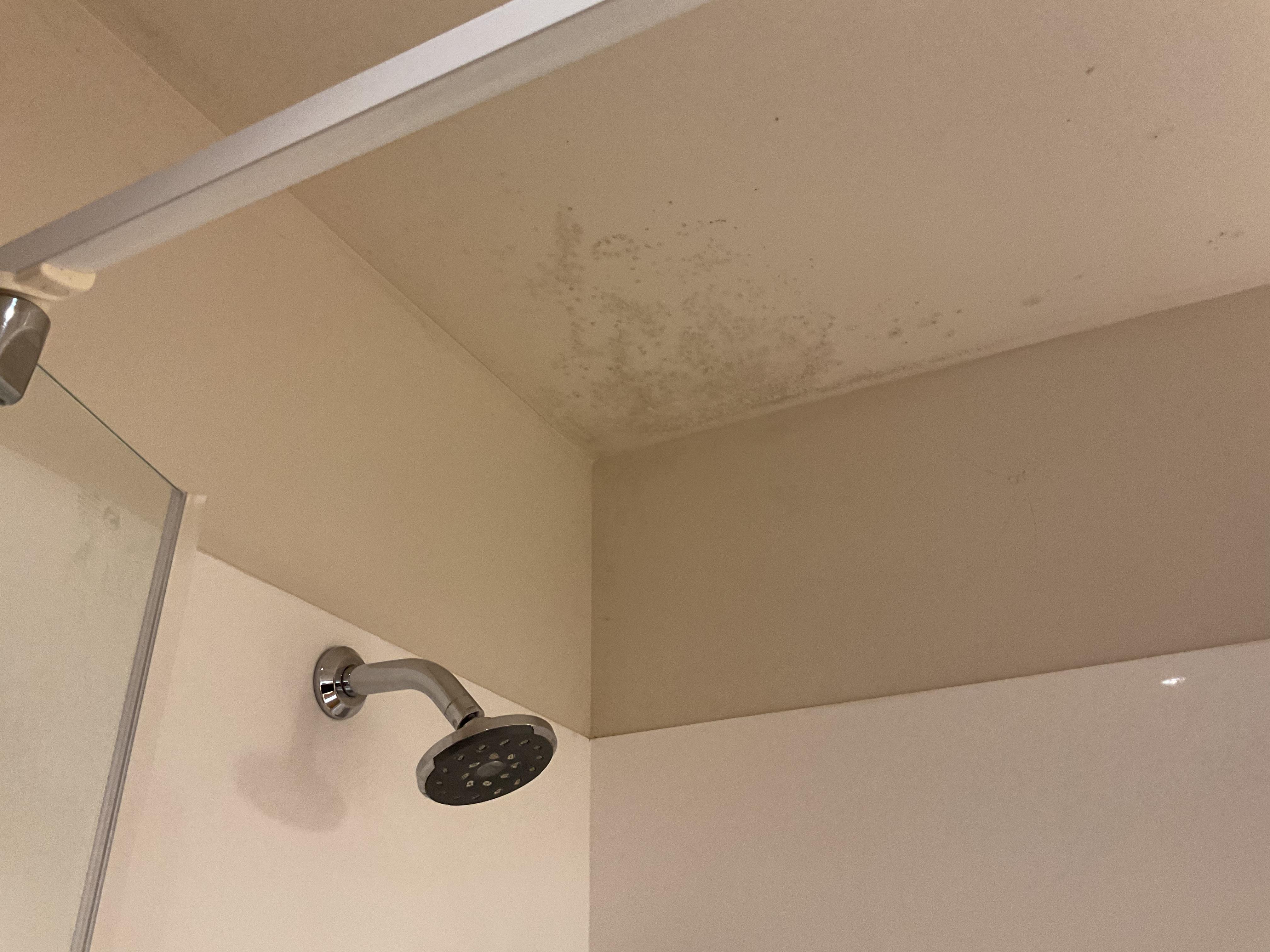 Mould in the bathroom 