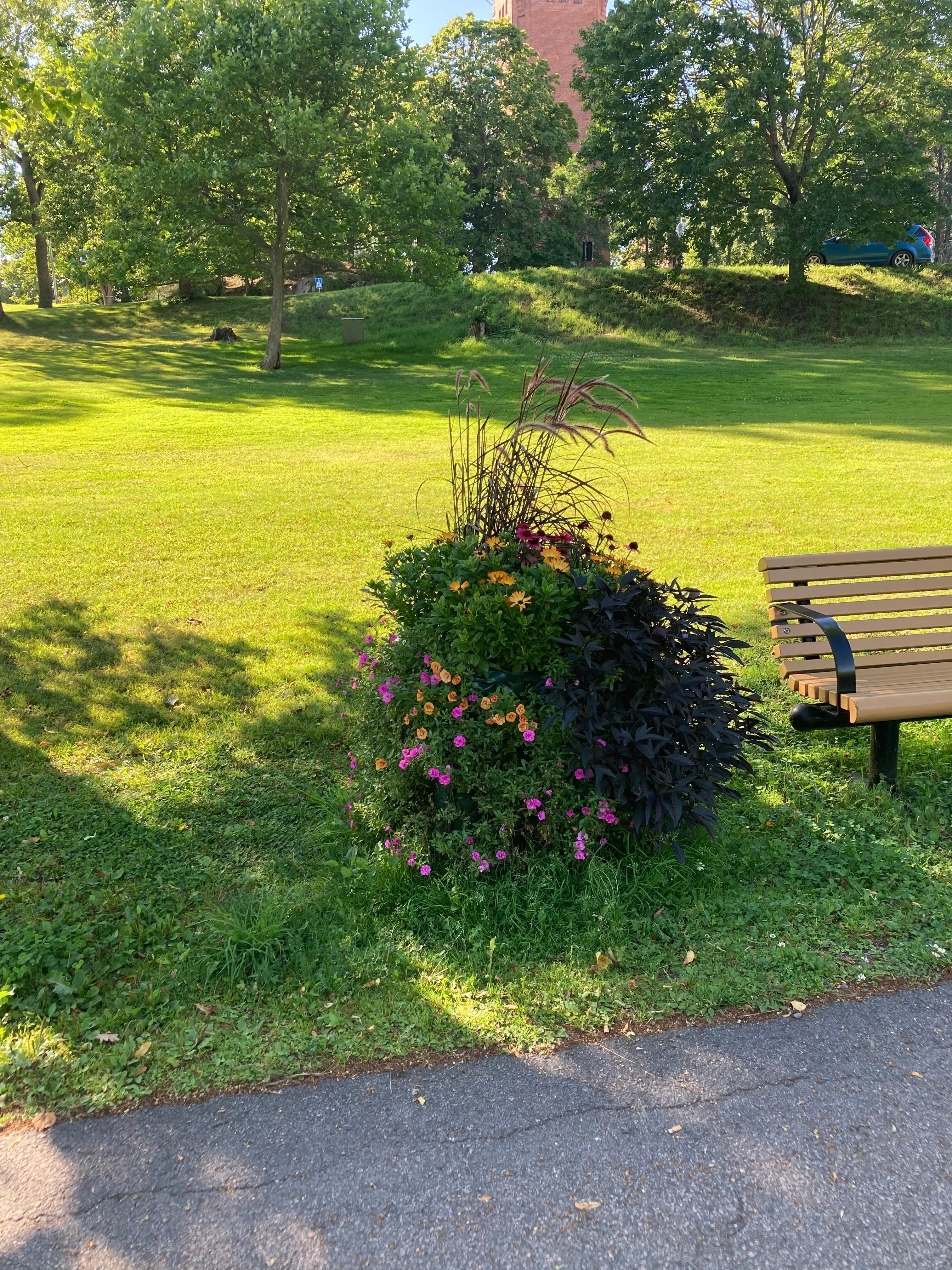Nydelig blomster