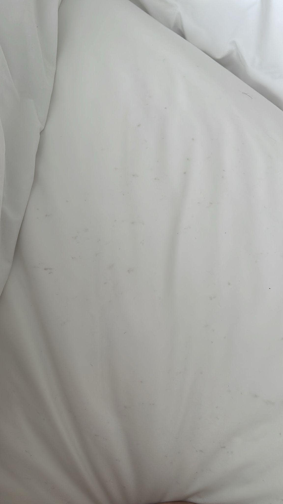 Mould on bedsheet