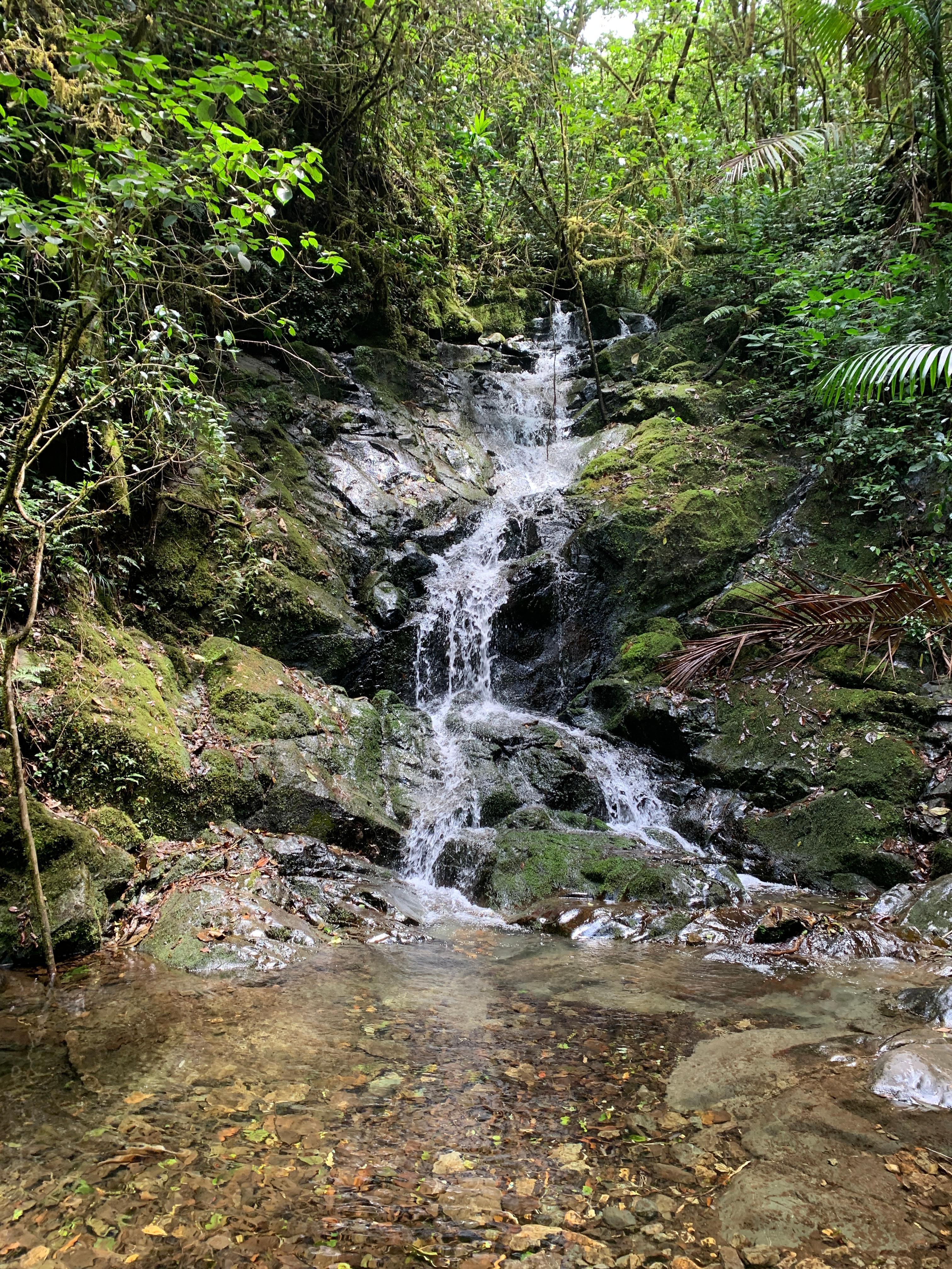 Balade aux cascades 