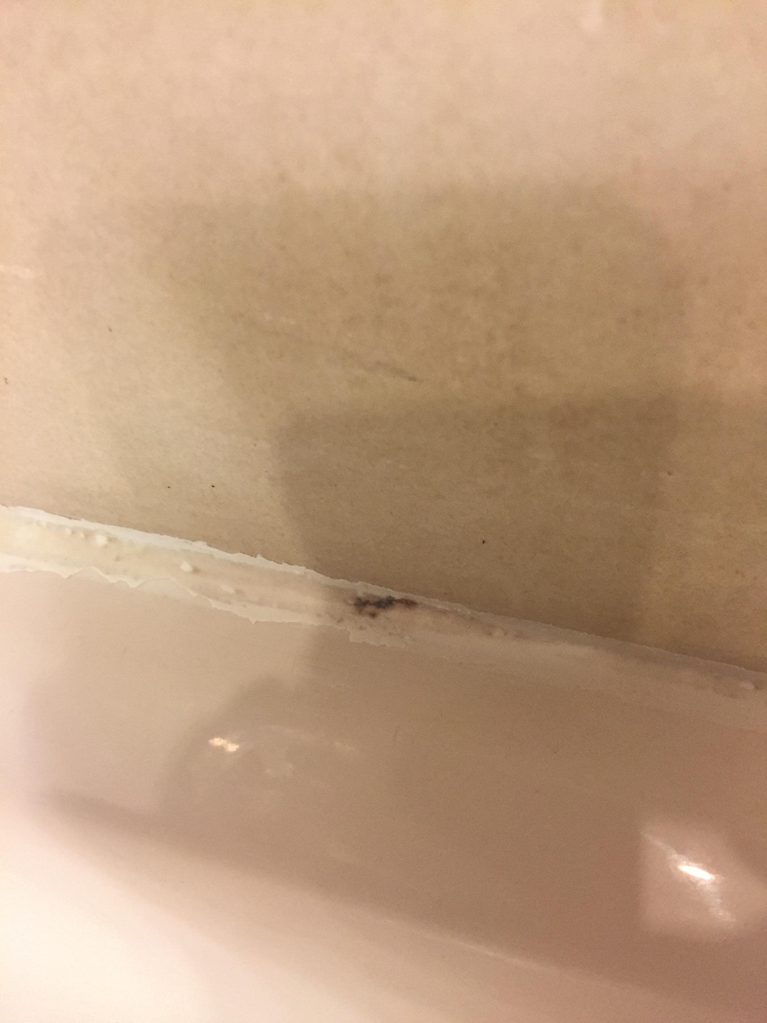 Mold in shower