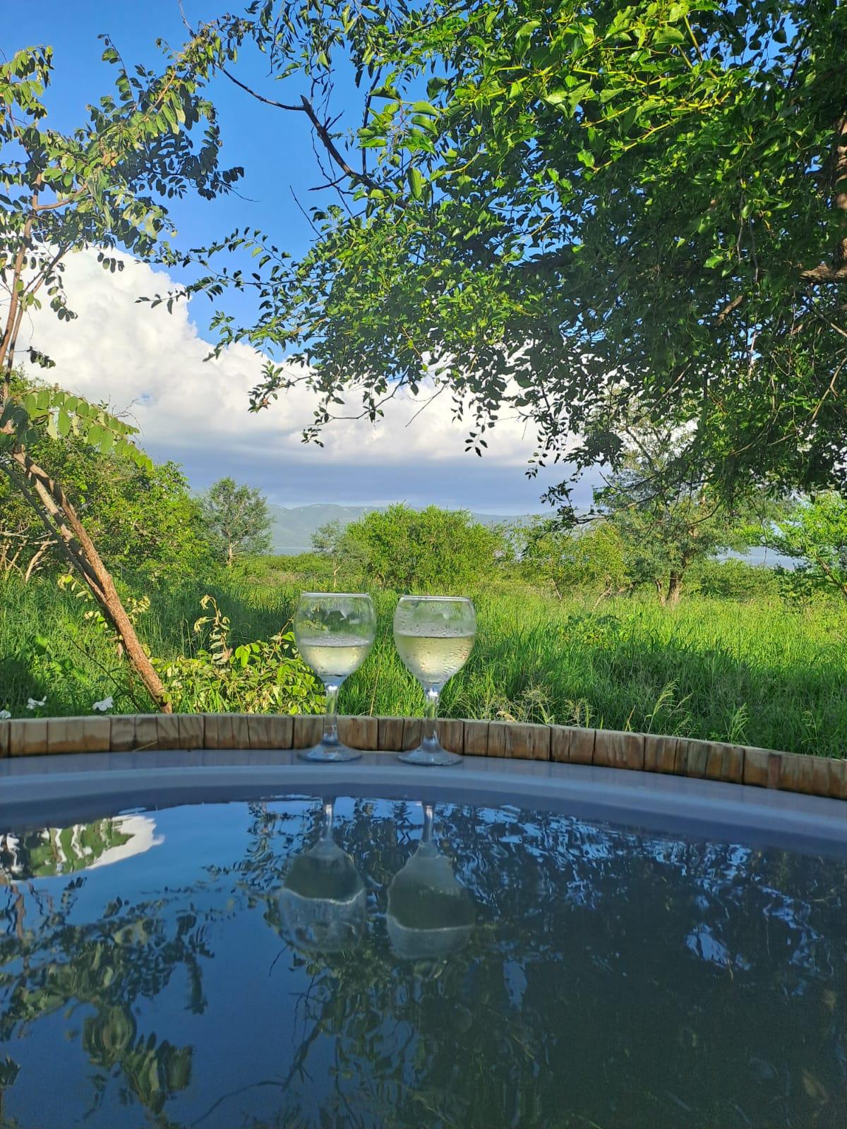 Bushveld Bubbles for New Years