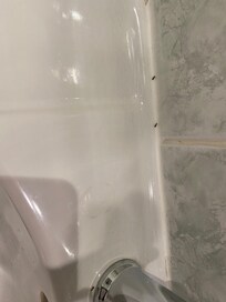 Mieren in de badkamer