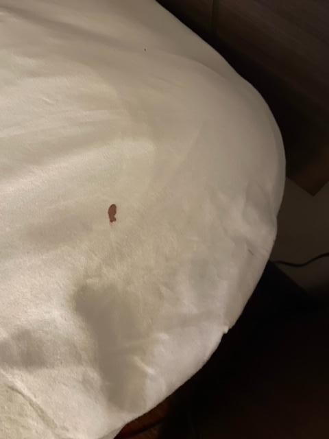 blood on sheets