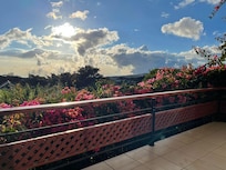 room view