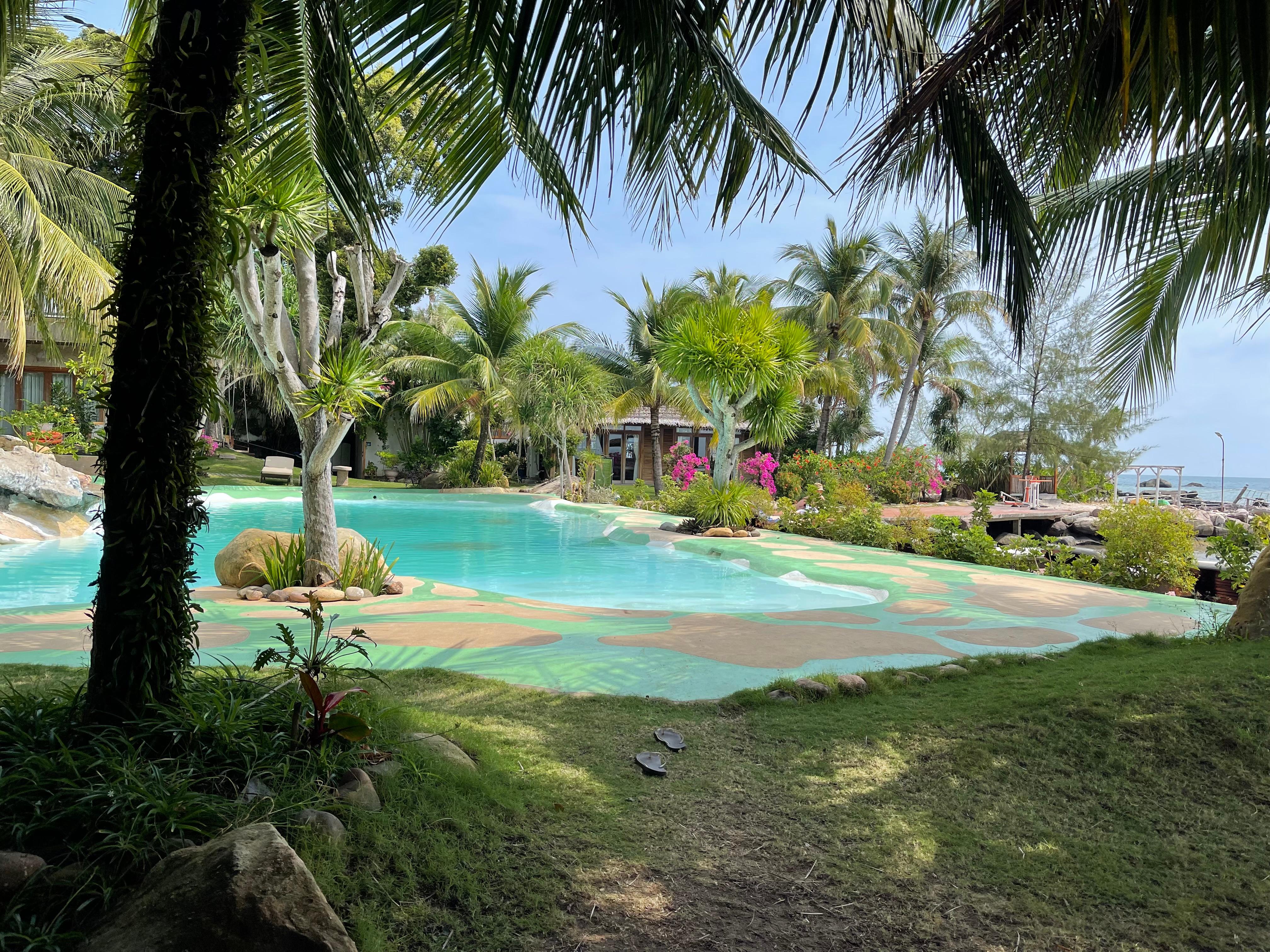 Beautiful pool and garden