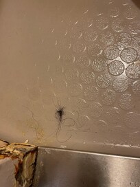 Ikke rengjort badeværelse