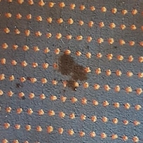 Fleck auf dem Teppich