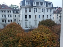 Vista desde la ventana
