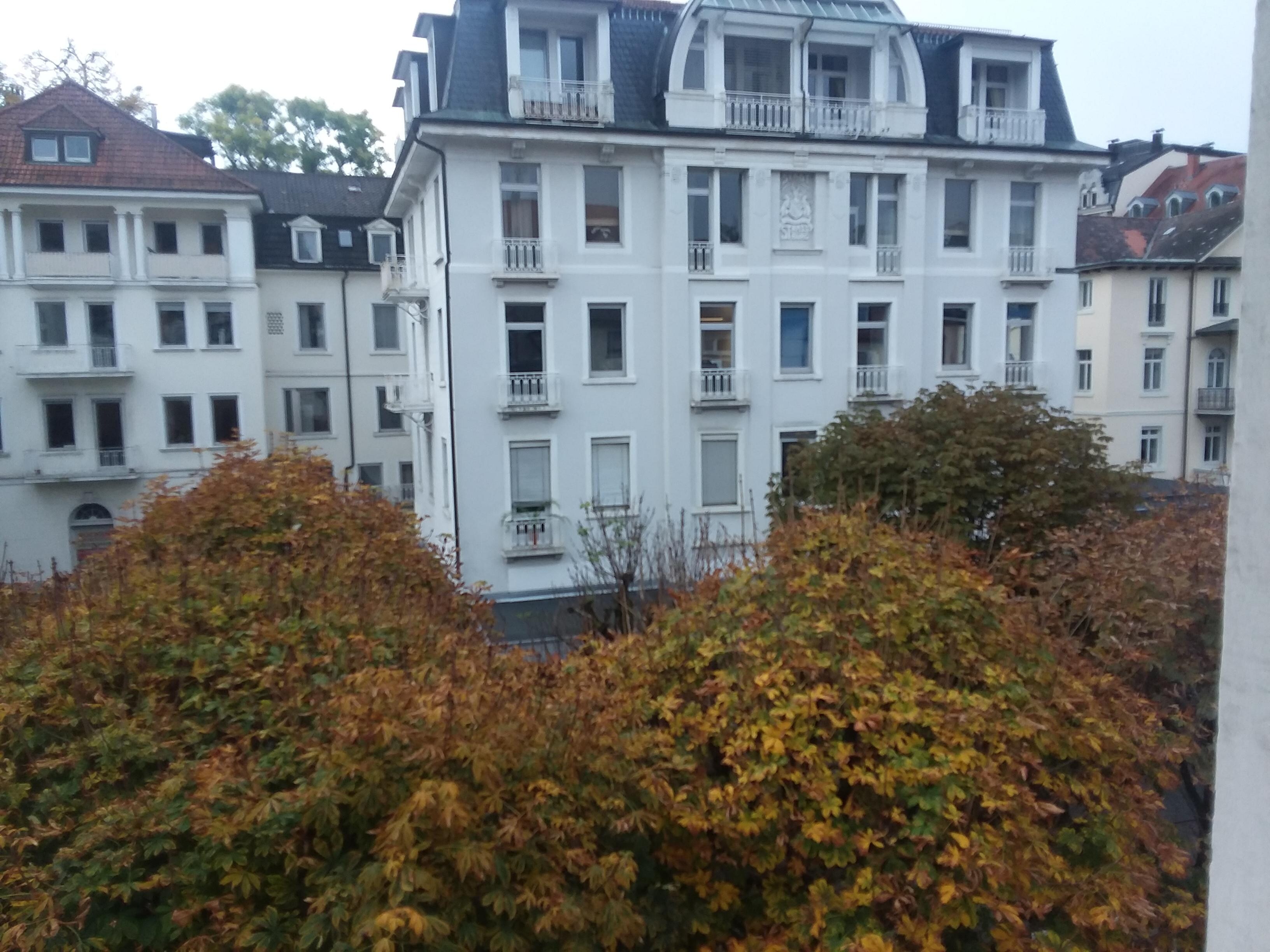 Vista desde la ventana