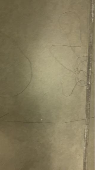 Hair on bathroom floor