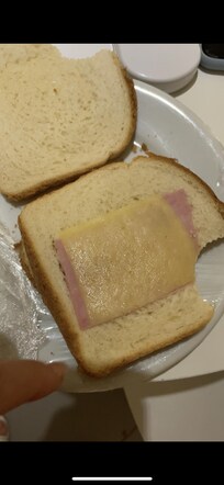 Tinha 3 fatias de pão e esse pequeno recheio entre as fatias de pão 🤔