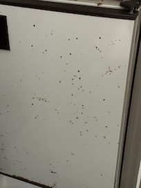 Refrigerator door rusty