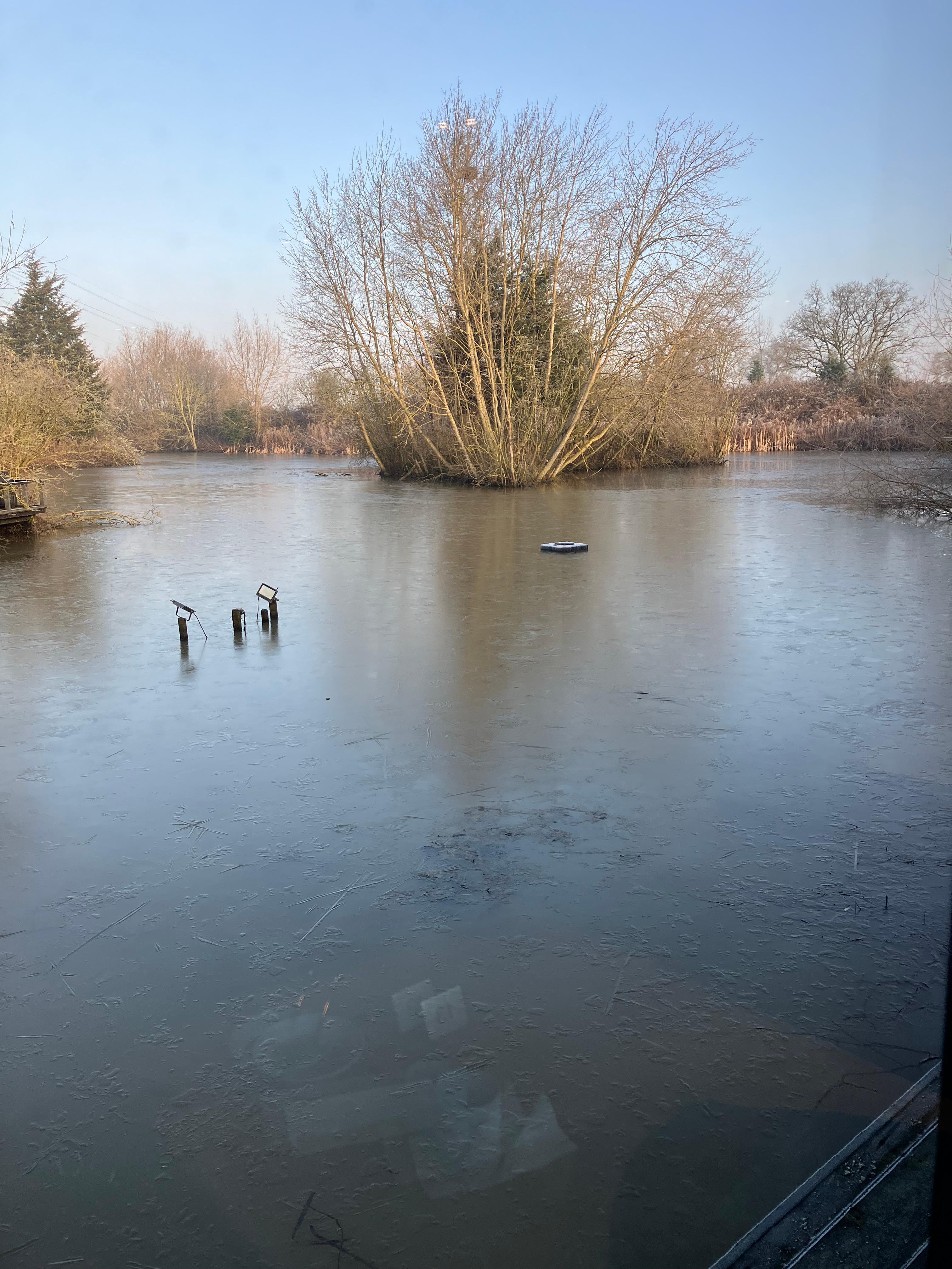 Pond view from room window