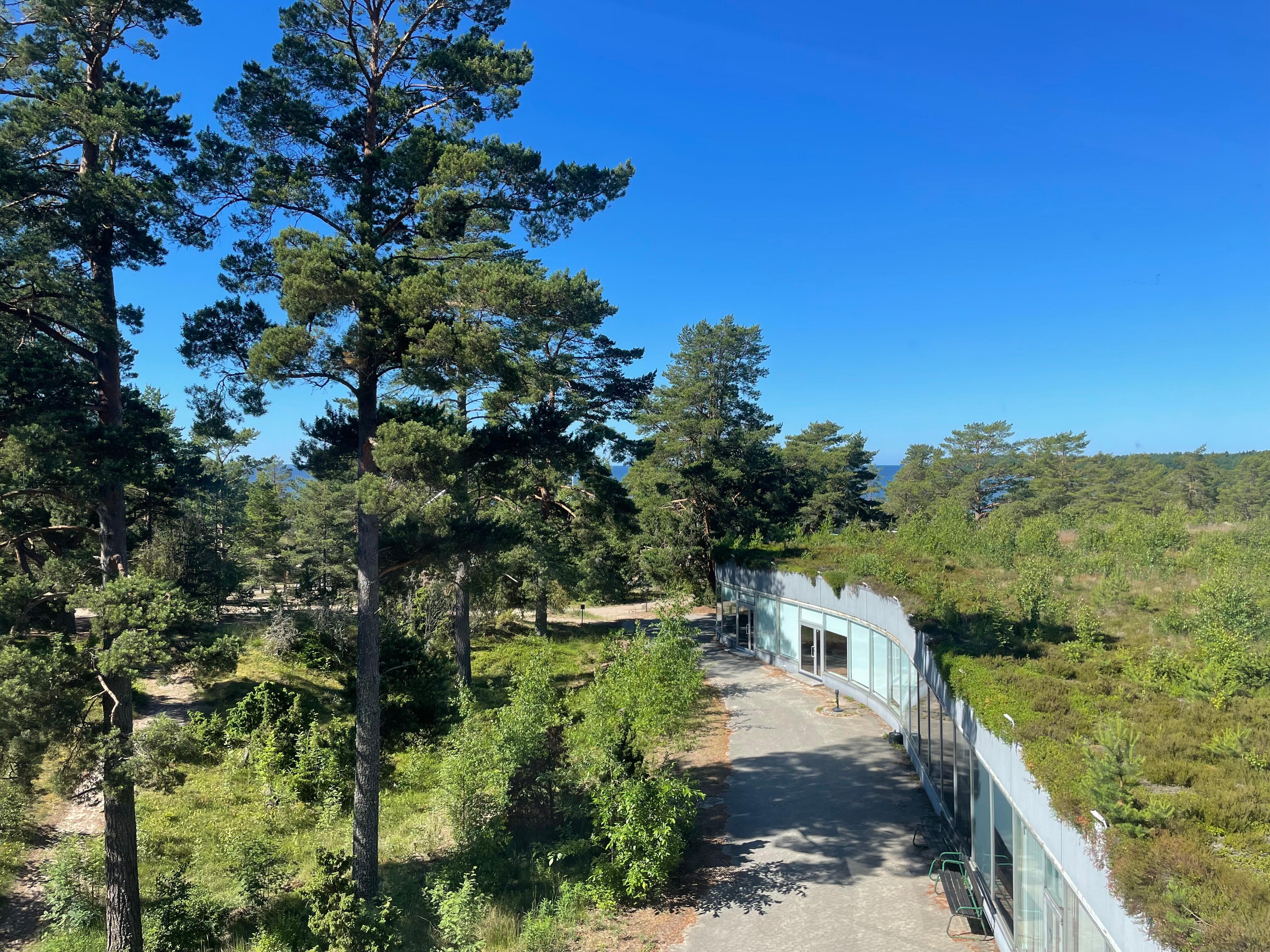 Kuvassa luvattu osittainen merinäköala. Toisaalta, verhot piti pitää kiinni, jotta huone ei lämpene.