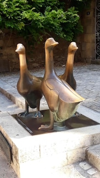 Les oies de Sarlat
