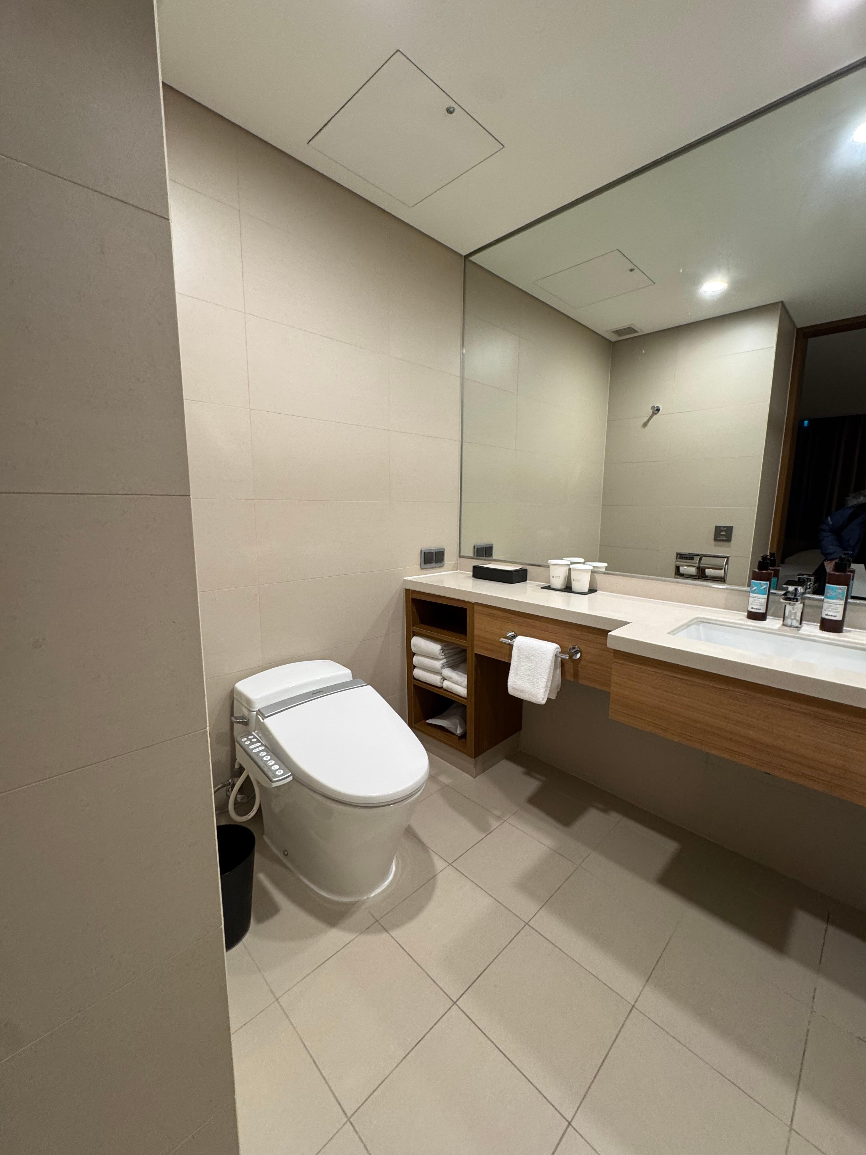 Bathroom view facing the toilet