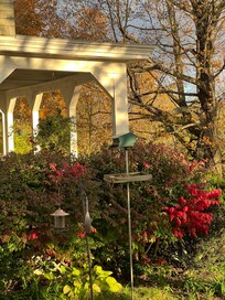 View of front verandah