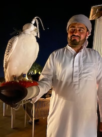 Falcon and his trainer.