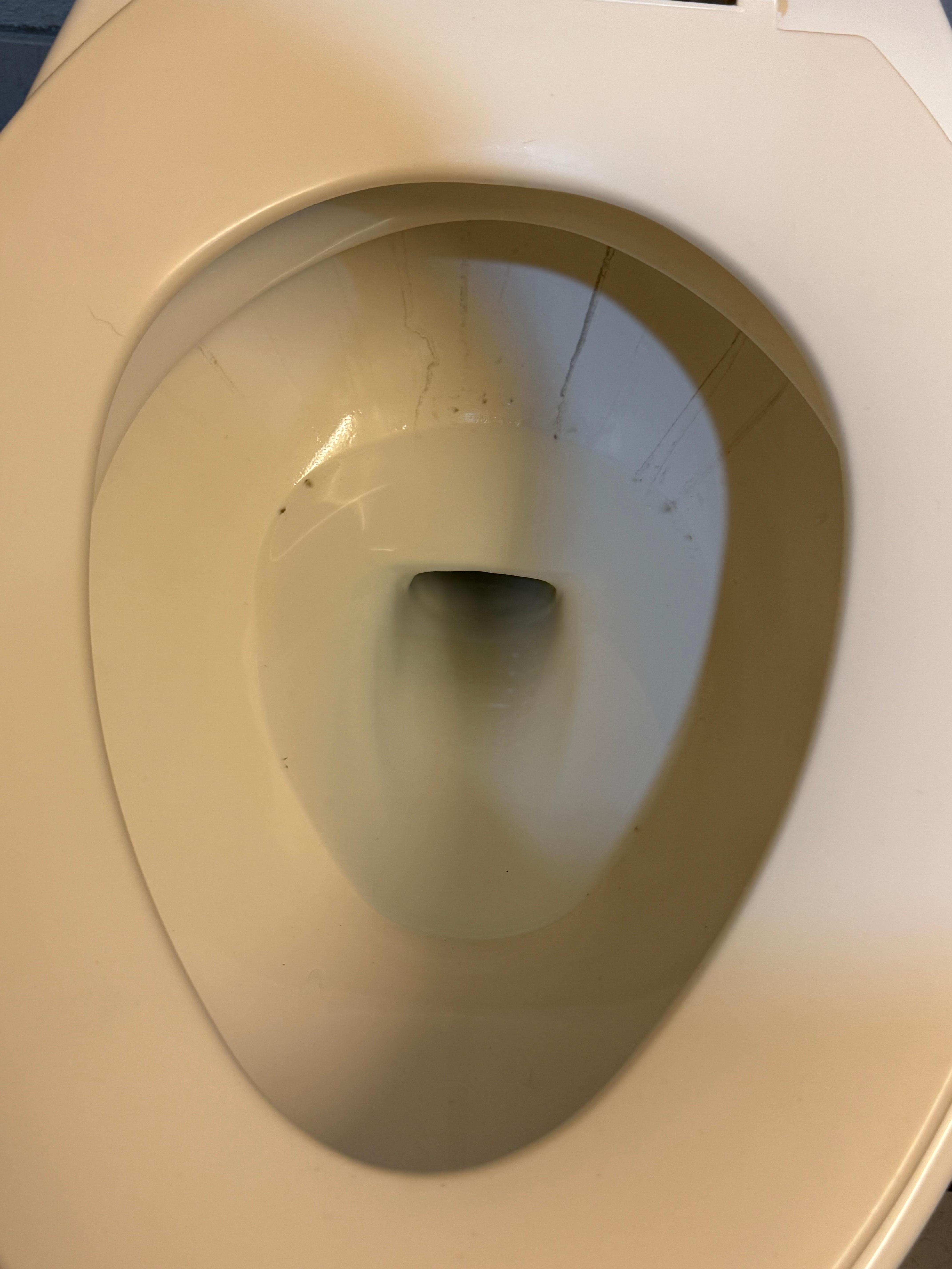 Dirty toilet 