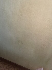 Flecken auf den Wänden