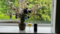 Ausblick vom Zimmer auf den Park