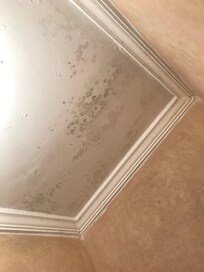 Schimmel an der Decke, dies führte zu einem muffigen Geruch im gesamten Zimmer