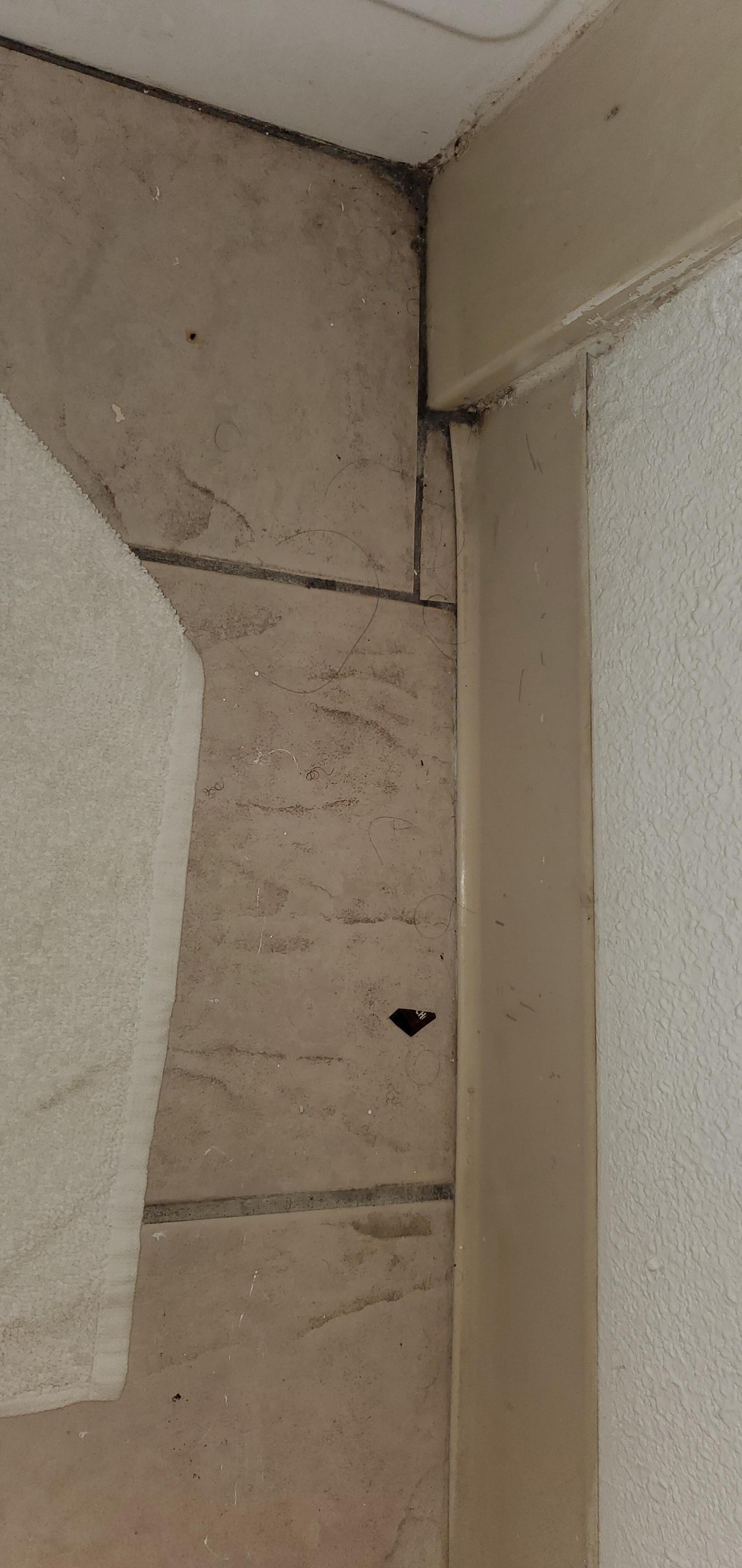Bathroom floor